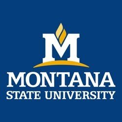 Montana-State-University.jpg
